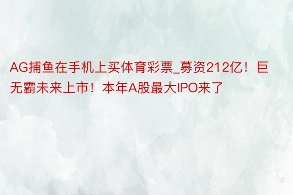 AG捕鱼在手机上买体育彩票_募资212亿！巨无霸未来上市！本年A股最大IPO来了
