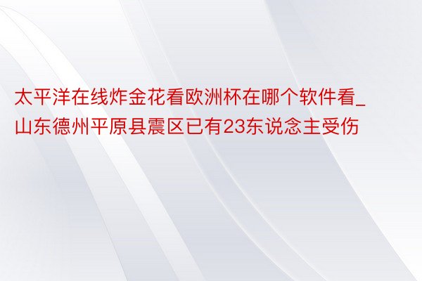 太平洋在线炸金花看欧洲杯在哪个软件看_山东德州平原县震区已有23东说念主受伤