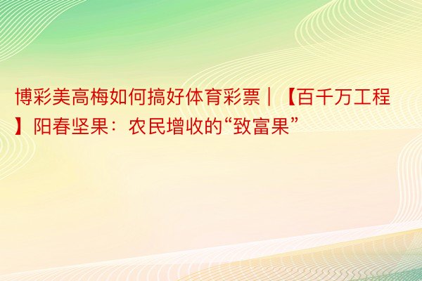 博彩美高梅如何搞好体育彩票 | 【百千万工程】阳春坚果：农民增收的“致富果”